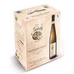 HS Veltlínské Zelené BIB 5,0l